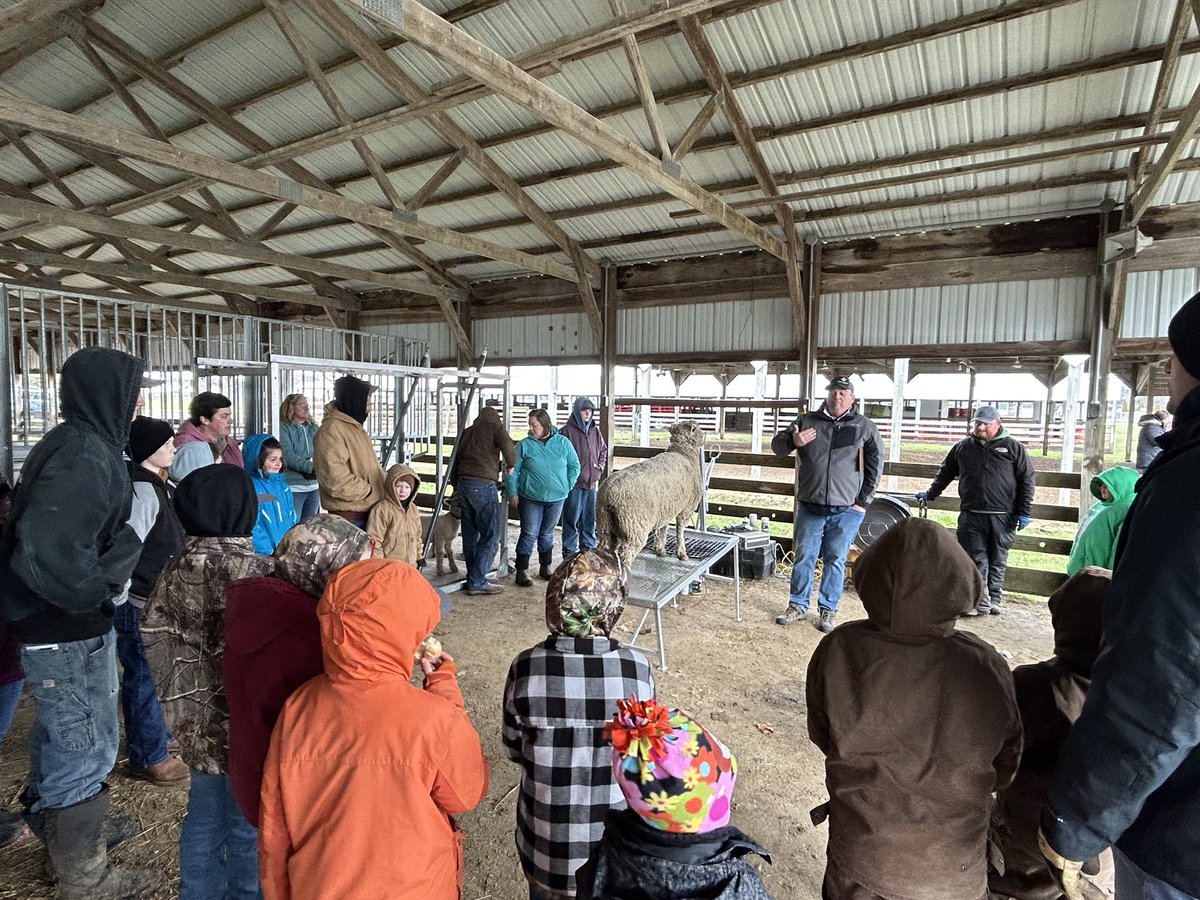 SangCoFair's tweet photo. Today we welcomed more than 50 people to the Youth Livestock Clinic hosted by the Sangamon County Farm Bureau. Kids in our county are learning how to care for and exhibit their animals. https://t.co/U0TdMLGGU3