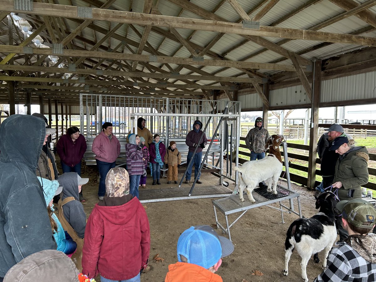 SangCoFair's tweet photo. Today we welcomed more than 50 people to the Youth Livestock Clinic hosted by the Sangamon County Farm Bureau. Kids in our county are learning how to care for and exhibit their animals. https://t.co/U0TdMLGGU3