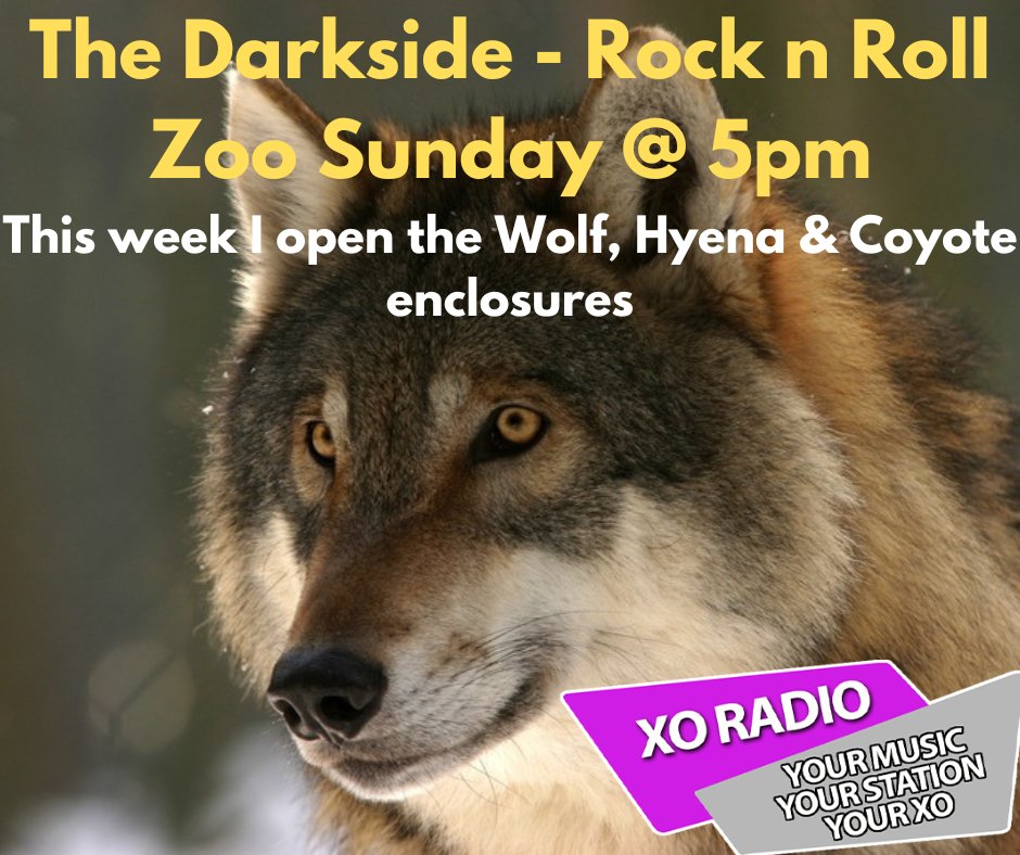 StewDennis's tweet photo. Let me know your suggestions for Songs, Artists or Albums that can go into the canidae enclosure as I open another music packed attraction in the rock and roll zoo on @thisisxoradio .  Howlin' Wolf anyone? studio@xoradio.uk https://t.co/fNHSZPm3Mc