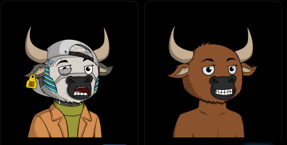 <a href="/frnzNFT/">FRENZY NFT</a>