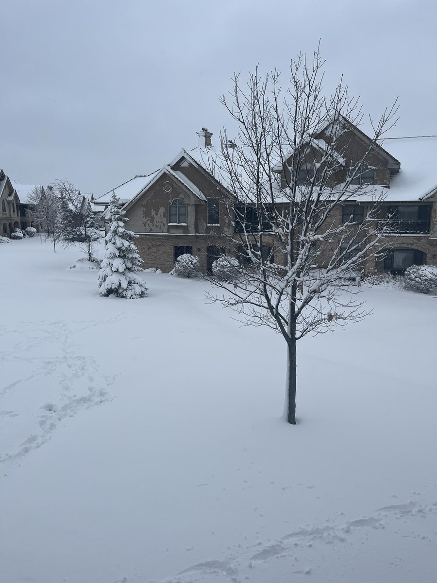 deannald77's tweet photo. ❄️ https://t.co/g8R3NV4AWT