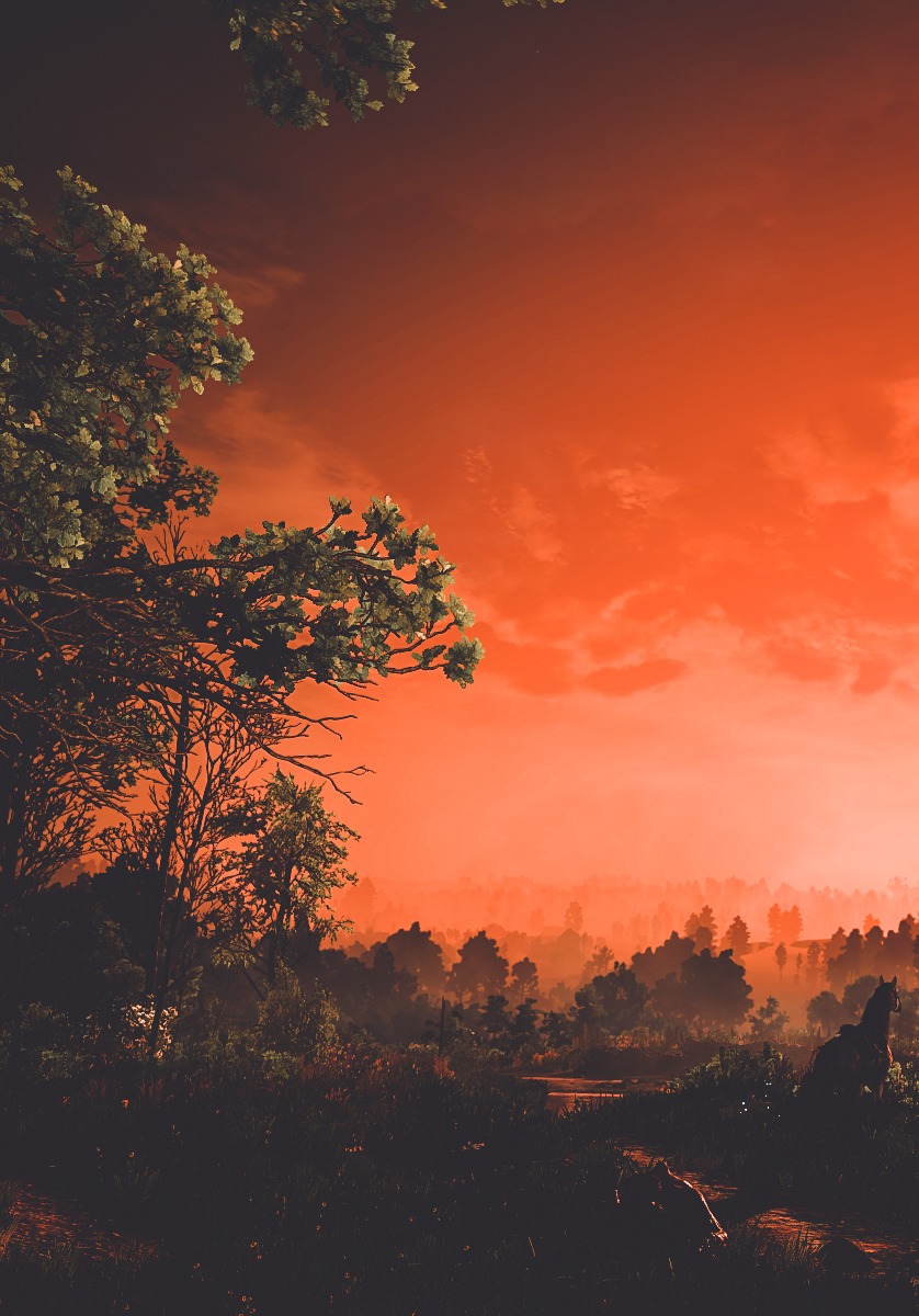 TNwarah's tweet image. #TheWitcher3NextGen