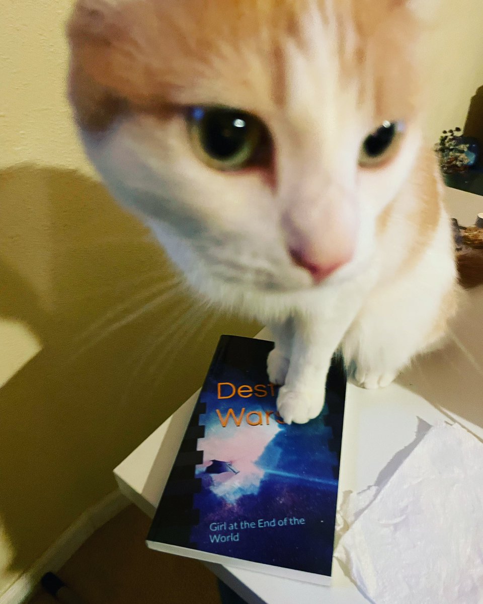 KatePhyre's tweet photo. @thetaoishway A book, a cat & you π«Ά
Happy #Caturday
#writerslift #DestinyWars #BookTwitter #readersoftwitter https://t.co/tHO76r3p38