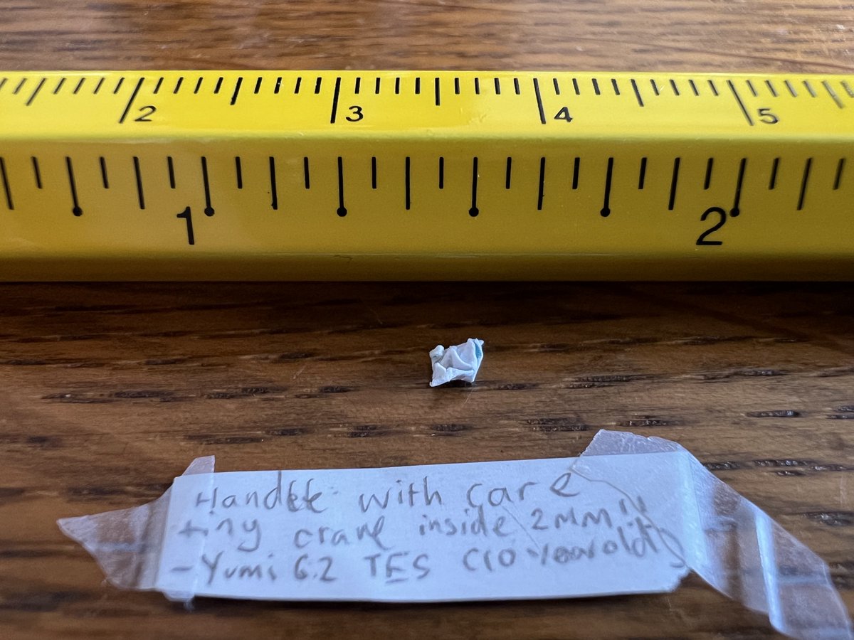 🌟ANNOUNCING THE WINNERS! Smallest Crane Contest 2023!🌟 - mailchi.mp/peacecraneproj…