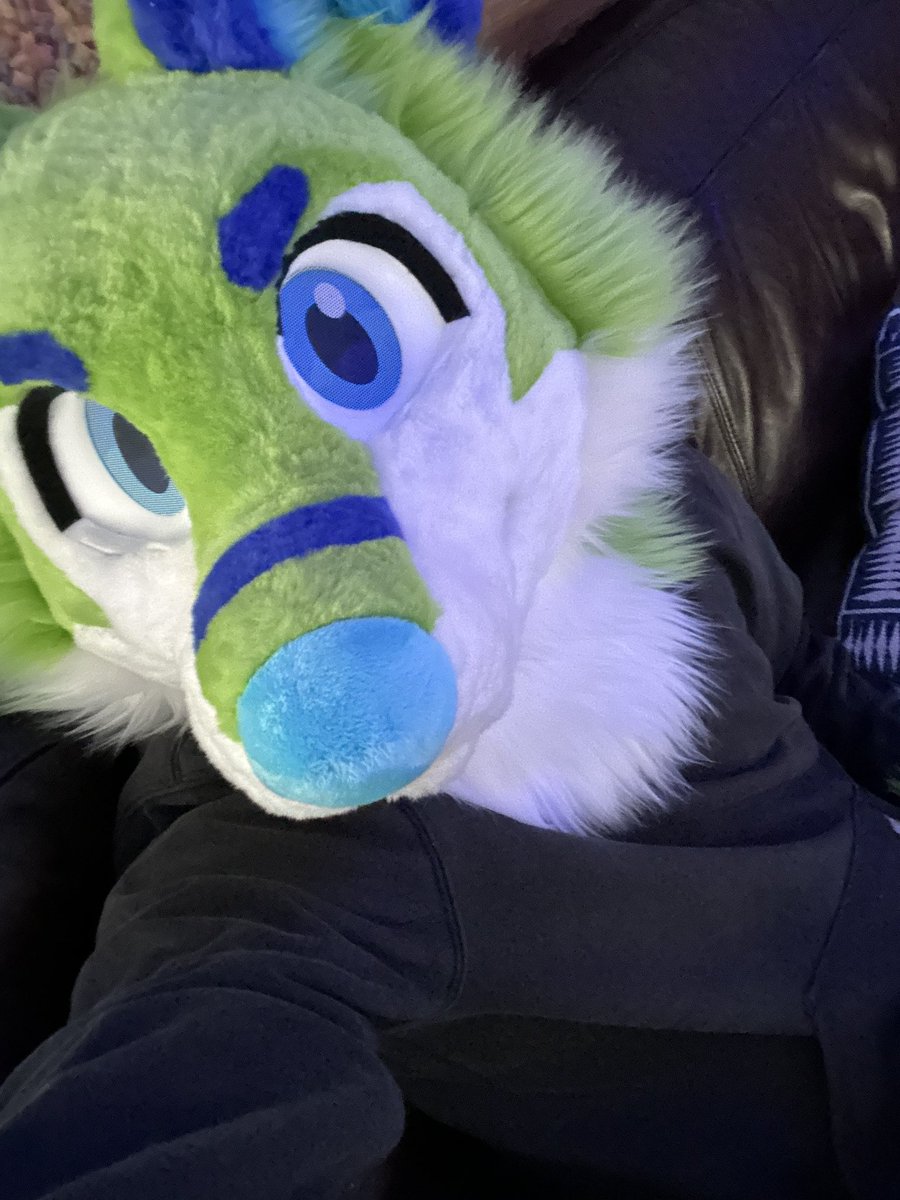 DesoTheHusky's tweet photo. Awooooooo come cuddle https://t.co/Ky3o7iGTCv