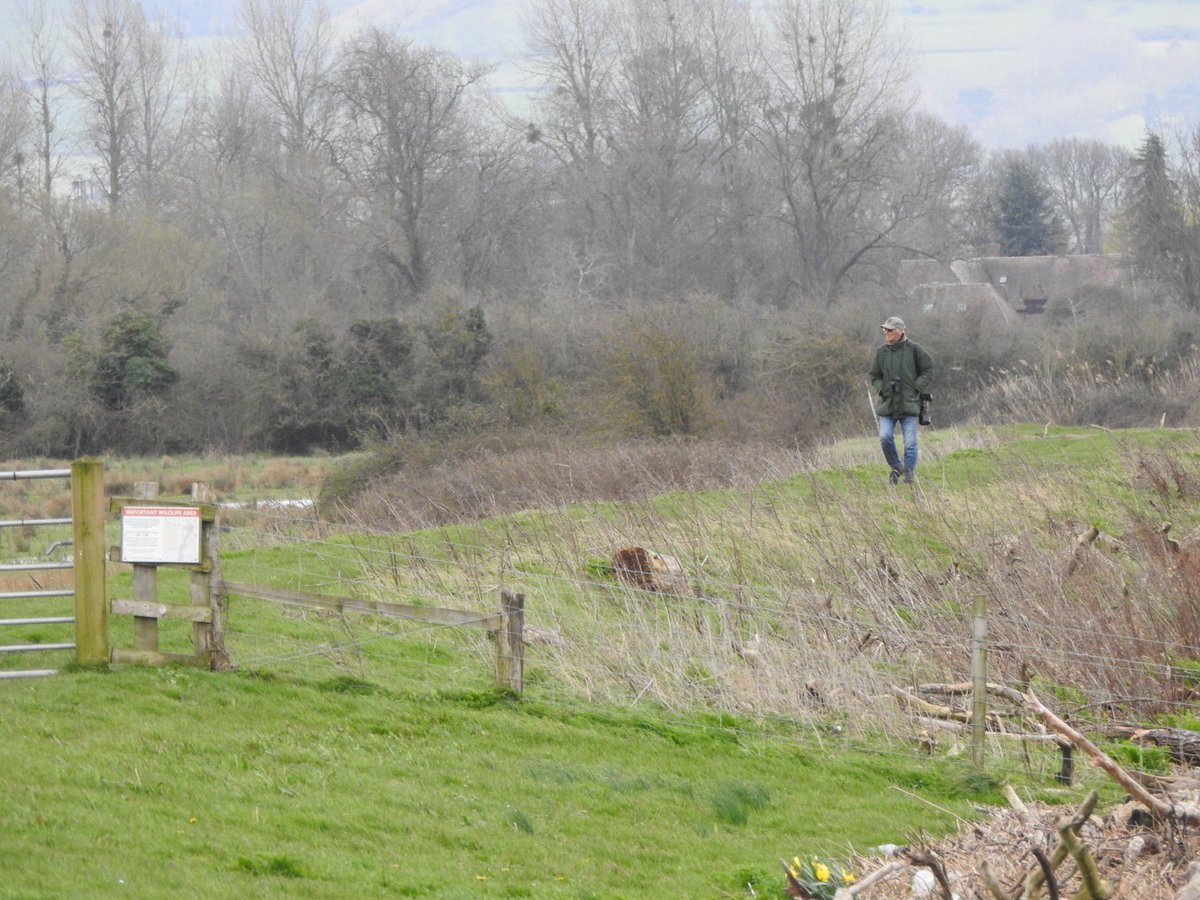 Neil Smart tweet media