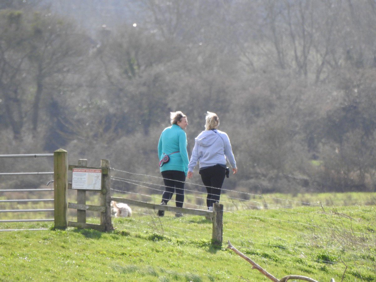 Neil Smart tweet media