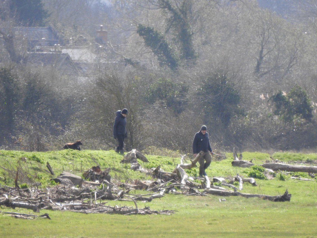 Neil Smart tweet media