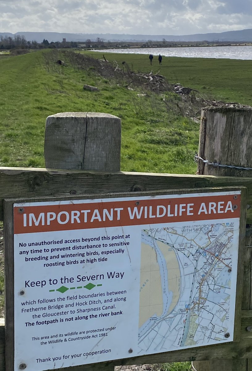 Neil Smart tweet media