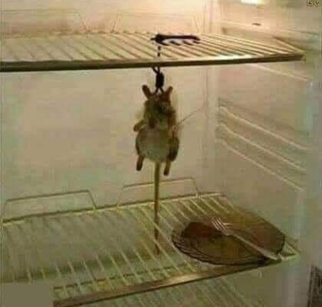 Vah vah vah nasıl olur bu ya