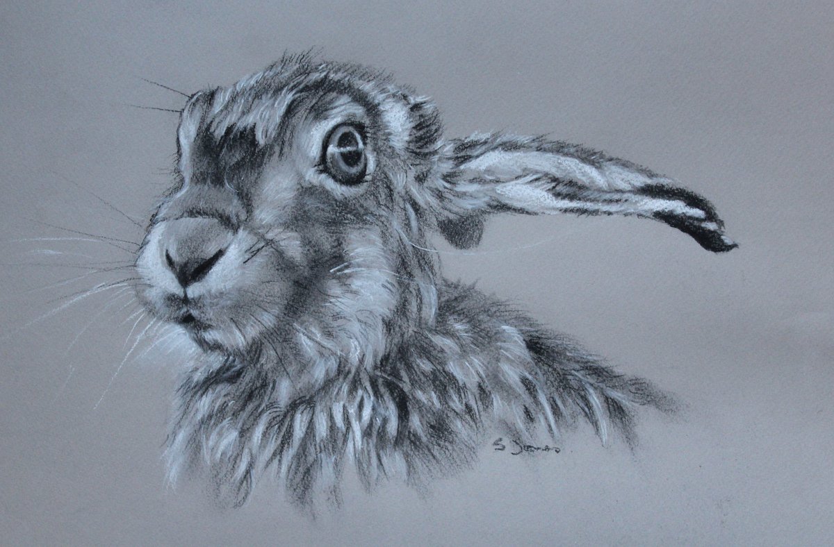 Getting packed up and ready for hand-in day tomorrow at Ebenezer Gallery in Polperro. This one seems rather apt somehow - Slightly Frazzled ...