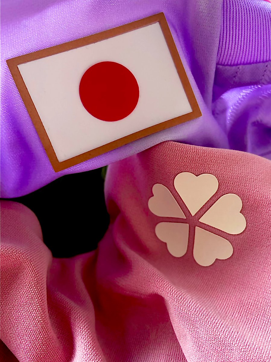 RetroShirtsFC's tweet photo. Japan and Adidas are a force to be reckoned with👊🇯🇵 https://t.co/biEjpCSpX3