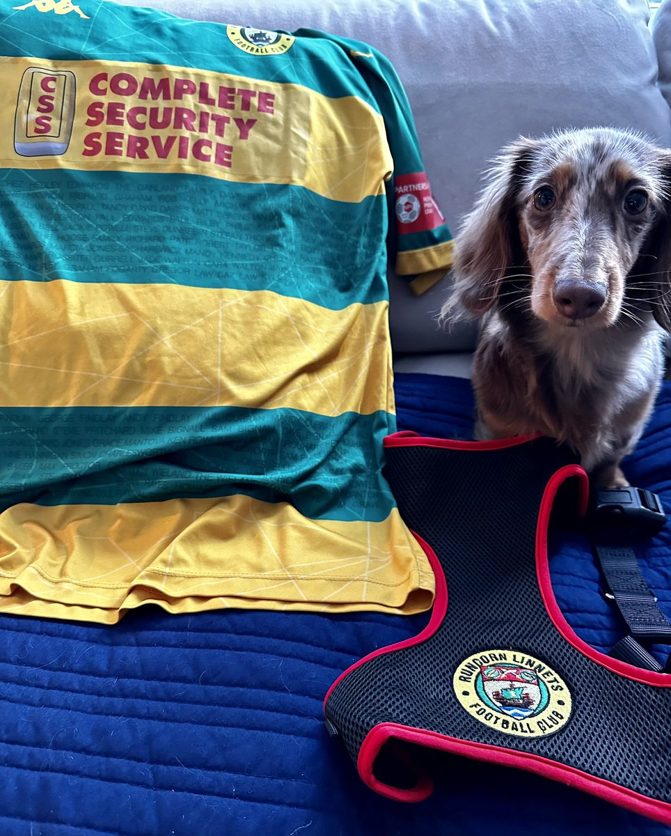 SenseiCarl_'s tweet image. Wallace loves his new @RuncornLinnets harness and I love my new shirt. We’ll be wearing them both at the ground next time we’re there 🟡🟢