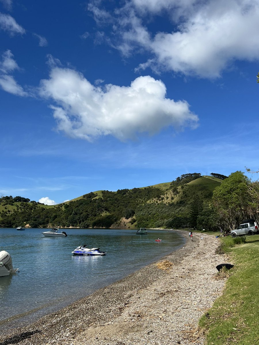 Susannah Kate Plaisted tweet media