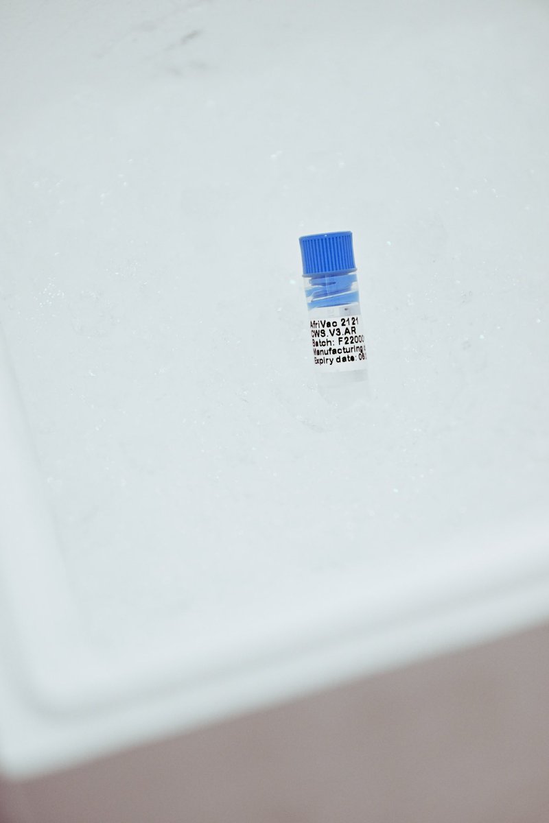 The vision of biotech champion #Afrigen, which we visited this afternoon, combined with the expertise of Belgium's <a href="/Univercells_sa/">Univercells</a> &amp; <a href="/eTheRNA_engine/">eTheRNA</a>, is a powerful force in the development of the first mRNA vaccine developed in an African country.  (1/2)