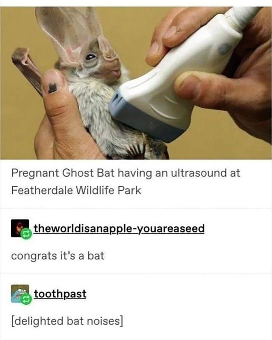 WholesomeMeme's tweet photo. https://t.co/NjSoDeRnkn