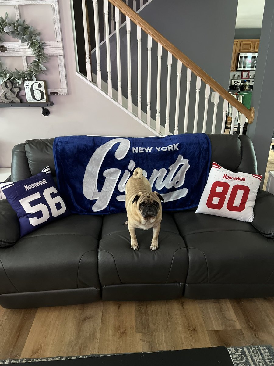 Had to say goodbye to my best pal Joe!! He loved watching games with us!!😢😢😢