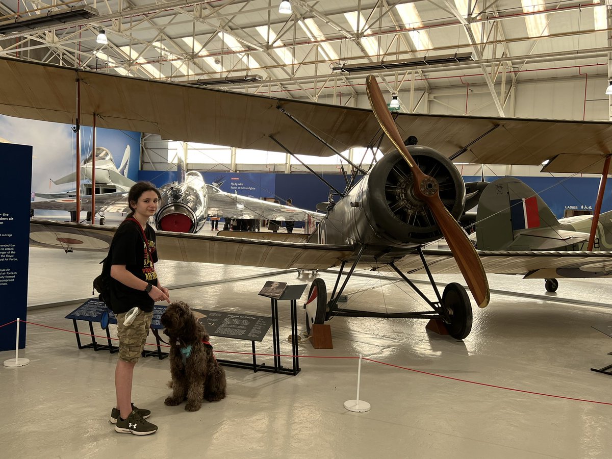 heatherdelaney0's tweet photo. A huge thank you to the Midlands RAF museum for making Isabelle’s 14th birthday wonderful and for being so welcoming to Assistance Dog Hope @RAFMUSEUM https://t.co/ezkC260nnn