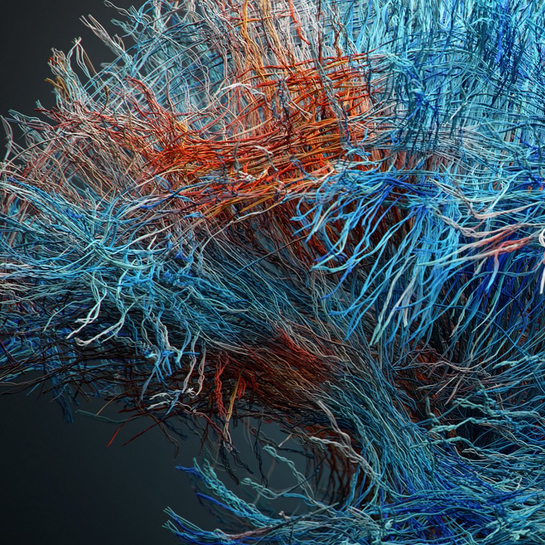 PBialasz's tweet photo. @curtisjamesholt @Bbbn192 How about that? I’ve also made it in Blender using MRI scan 😎 https://t.co/ad87ZqzHHy