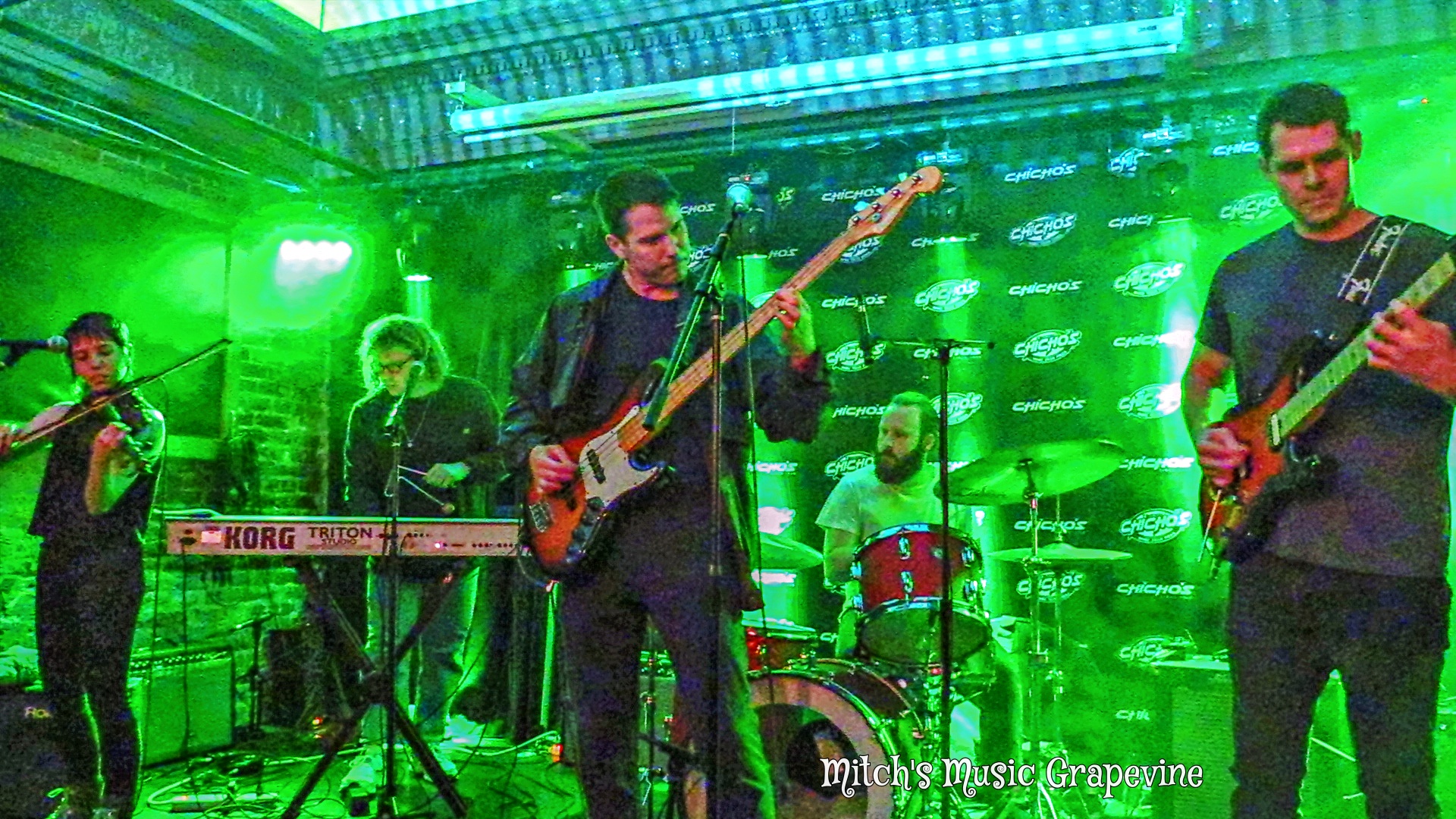 REPTILE TILE (reptile_tile) / Twitter