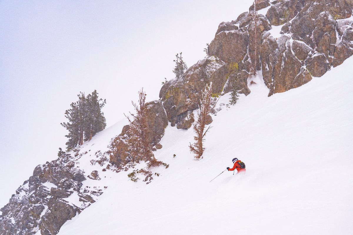 samjezak's tweet photo. No better way to celebrate a record breaking snow year in the Sierra than chasing @syano31 through powder turns at her home mountain. https://t.co/rSg3g87AJH