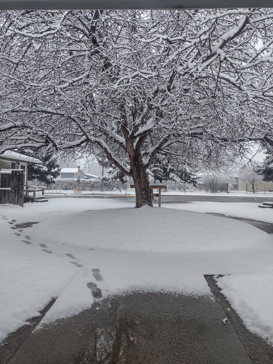 songwriterpeg's tweet image. #montanaspring