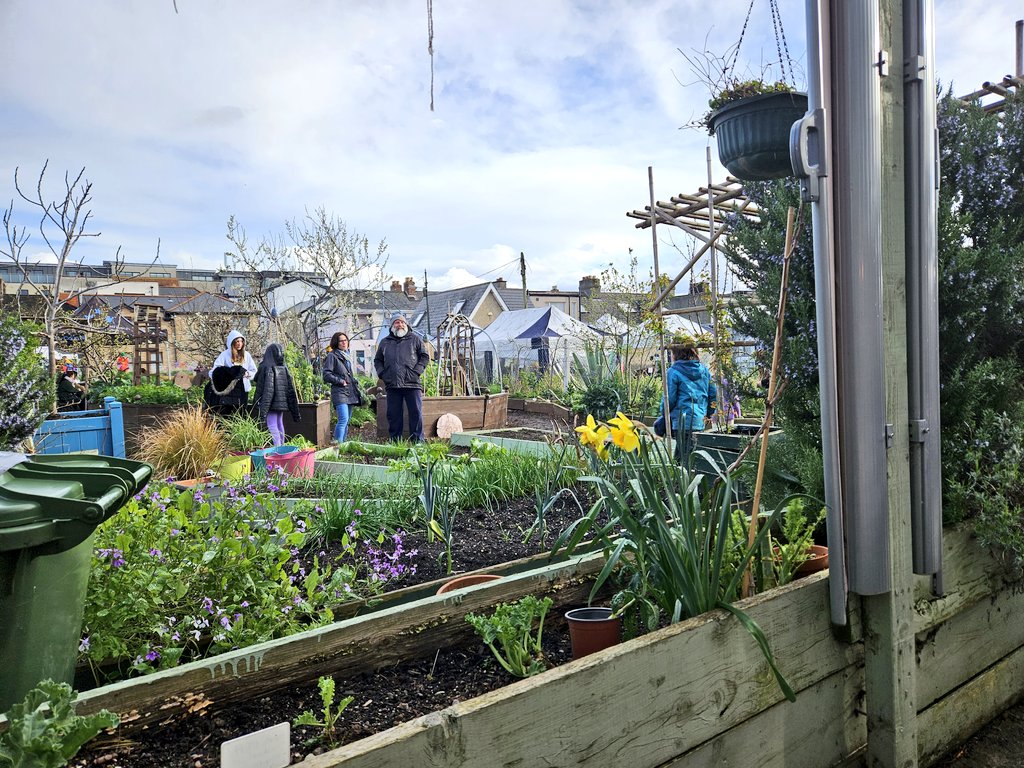 donna_cooney1's tweet image. Lovely trip to @island_mud for their #SpringFair 
Bought a lovely handcrafted hat, heard some great music and circus acts, tasty bites at the cosy cottage. In a wonderful community garden and people. @EW_here4all beautiful knitting!! 🌼