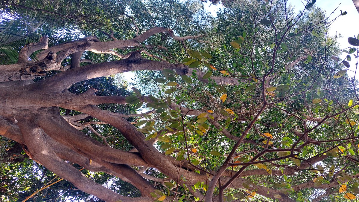 ruth_marmora's tweet photo. La naturaleza hipnotiza
Fotografia RMM
#TimeOn 📸 https://t.co/soDhkqMfic