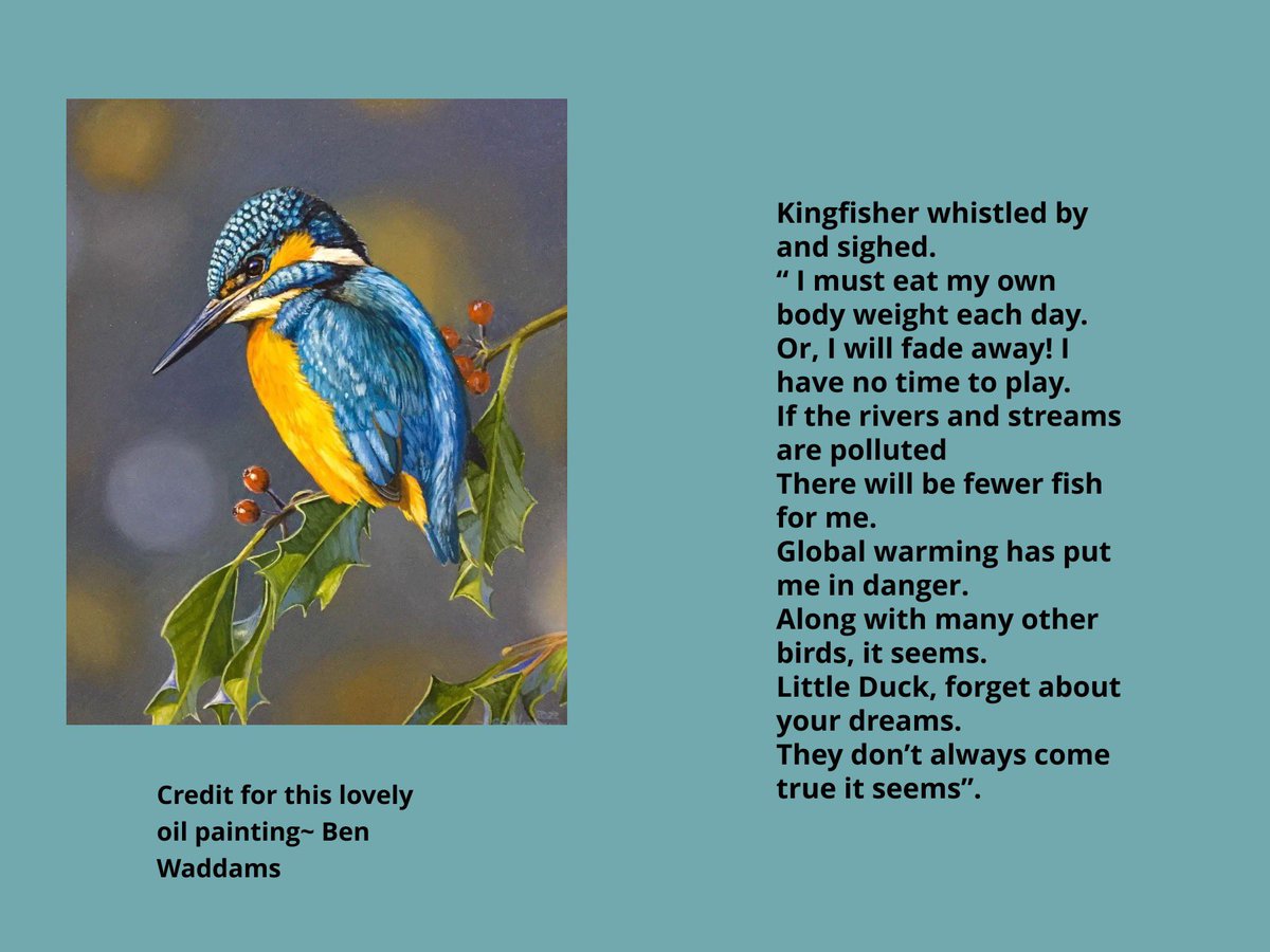 guardian442's tweet photo. More screenshots from Little Duck Lost book @CarlBovisNature @hedgehogsociety @StevenW33436788 @BenWaddams https://t.co/0YiPFTRffY