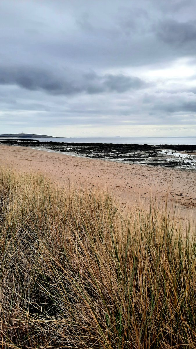 shamblesklutz's tweet photo. Was part of an organised beach clean this morning. Low tide meant local farmers were able to bring their tractors on to the beach to get the big stuff for us (creels, wheels...). Oh, and I found someone's right arm.
#beachclean #Largobay #Fife https://t.co/OfSnsnTMur