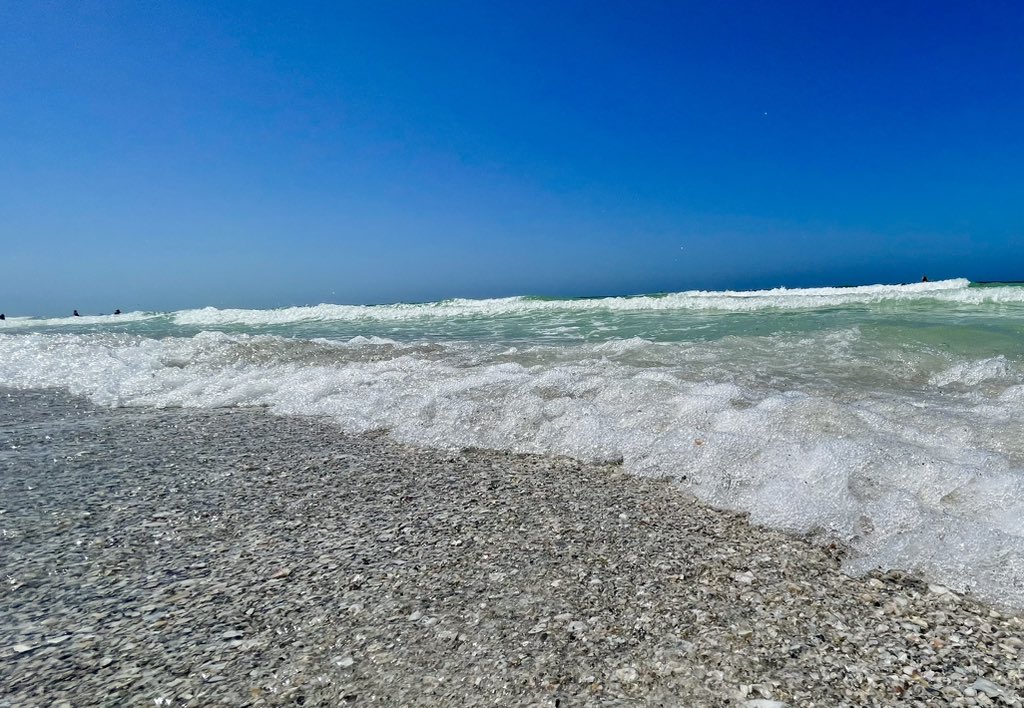 Jason_T_McC's tweet photo. My kinda day!! #BeachDay #CoquinaBeach @amichamber @ManateeGov ποΈ ποΈ π βοΈ #FloLiving https://t.co/RDZGFdS0OX