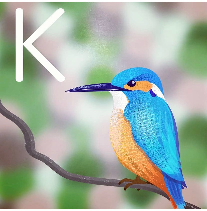 sketchybushell's tweet photo. @MeganMcCubbin Hello Megan, here’s some animal-specific examples, as well as more stuff on https://t.co/LROQwmt0yD cheers! https://t.co/h7uAU5fdnf