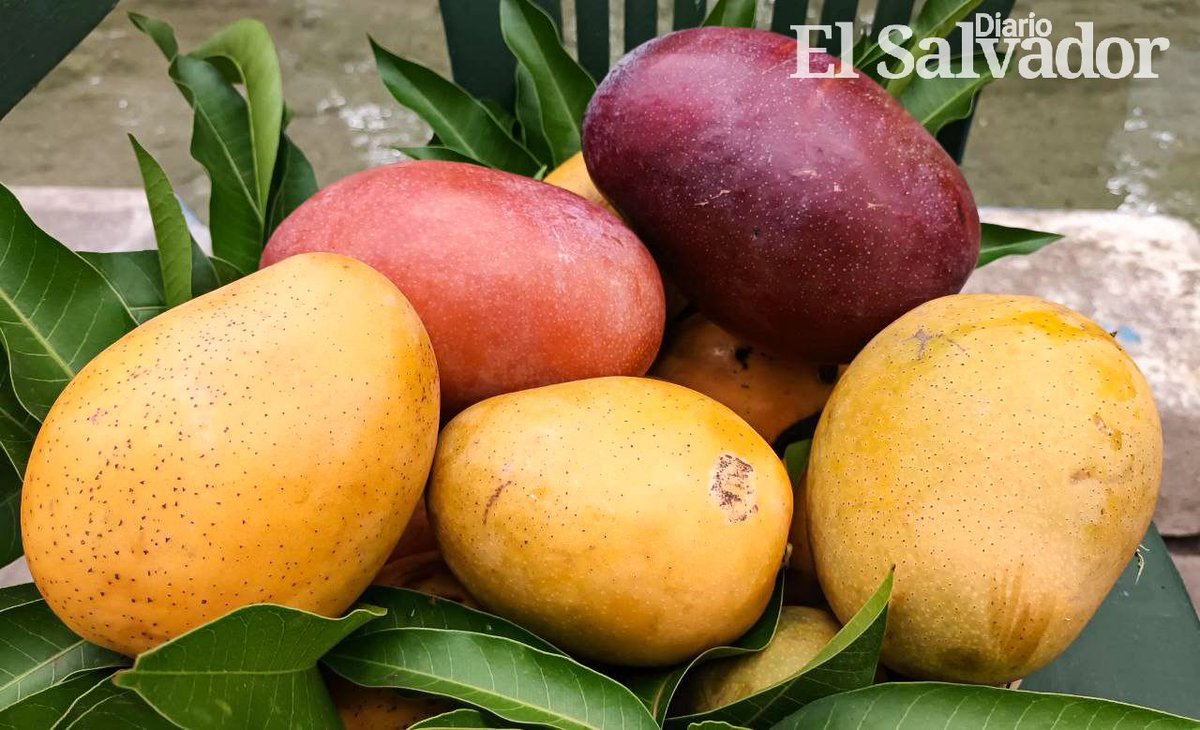 Diario El Salvador on Twitter "ElSalvador Zacatecoluca cuenta con