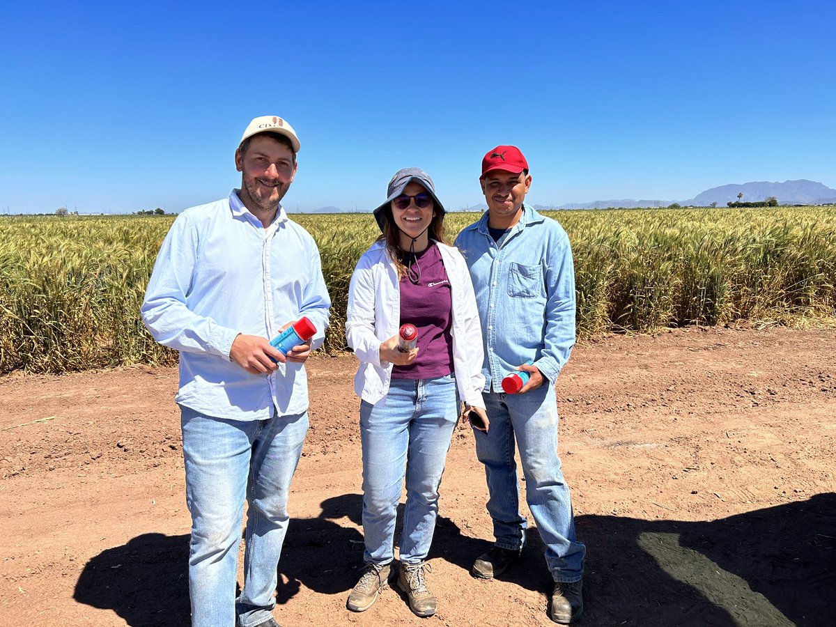 Leonardo Crespo tweet media