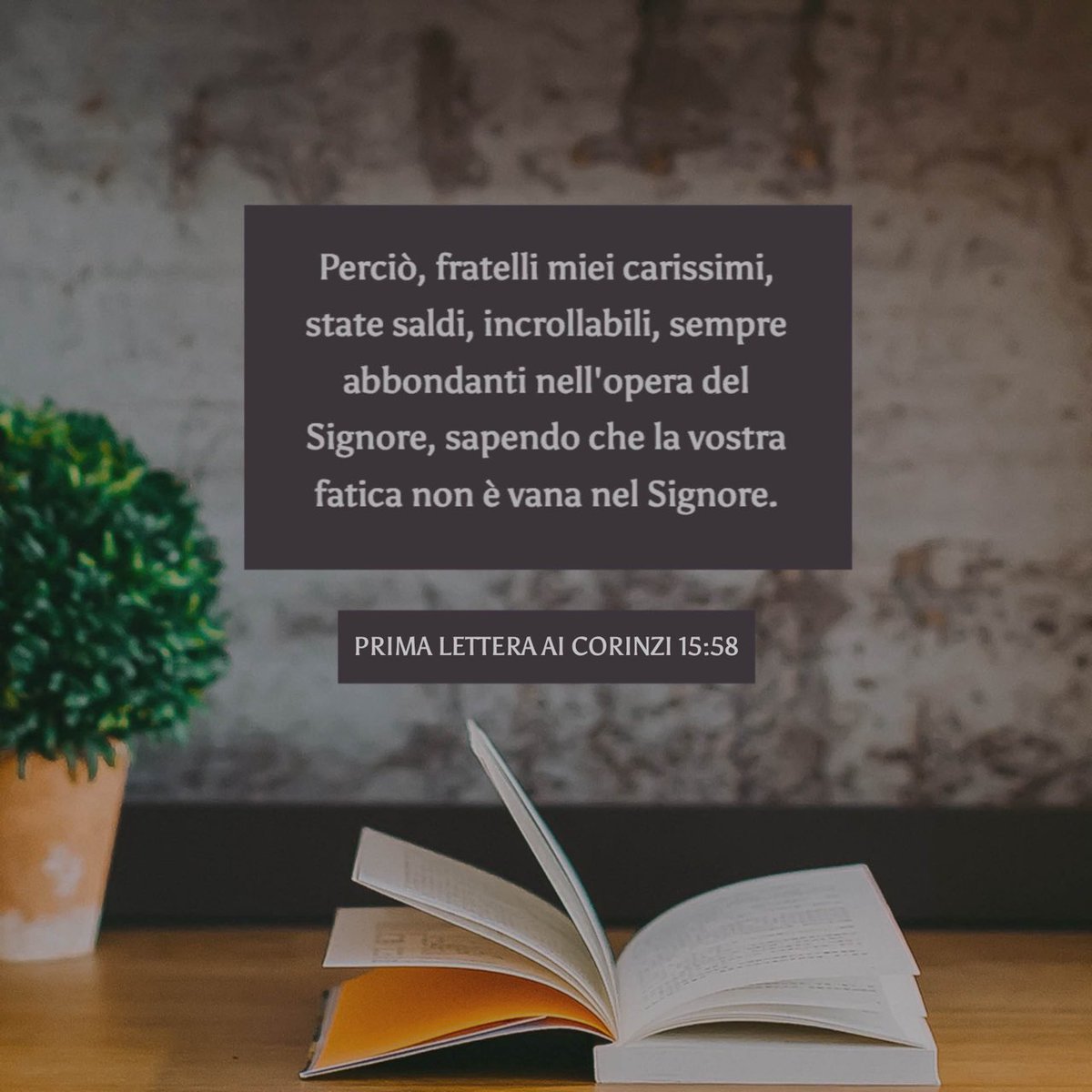 _MarcoGelo's tweet photo. "«#Perciò, #fratelli miei #carissimi, state #saldi, #incrollabili, sempre #abbondanti nell'#opera del Signore, sapendo che la vostra #fatica non è #vana nel Signore.»"
(#Prima #lettera ai #Corinzi 15:58) https://t.co/KTfOnq6aKV
