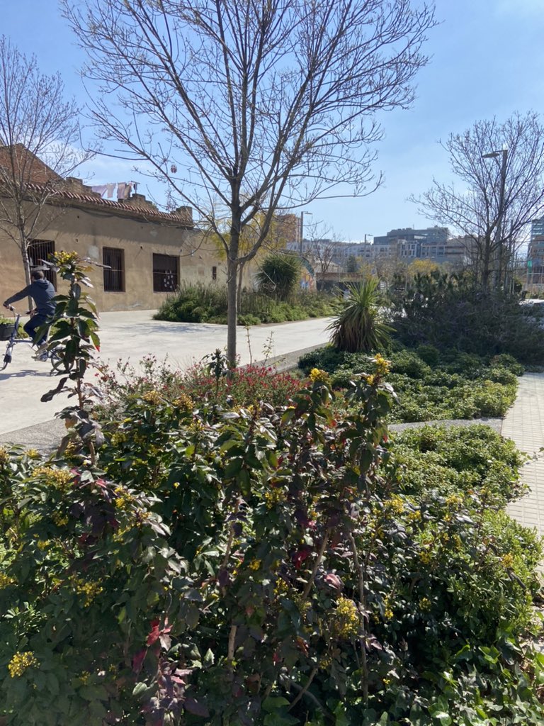 filipwatteeuw's tweet photo. ���🏻‍♀️De stad inrichten voor de mensen die er wonen, daar gaat het om!
🌳Meer groen &amp; ruimte voor ontmoeting. Minder autoverkeer. 
🌈 Steden die voorop lopen inspireren, &amp; worden geïnspireerd. Ook het Gentse mobiliteitsbeleid valt op. #Ghentify
Hartverwarmend congres in Barcelona! 💚 https://t.co/dmAXDE4IM9