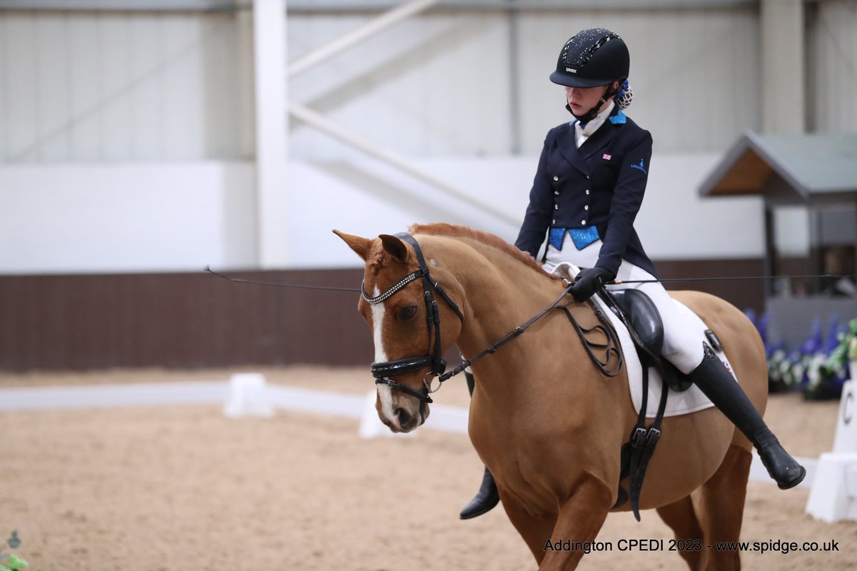 photos from my 1st International CPEDI 1* 🇬🇧last week. Still can’t believe my GB journey begins 🥹 very proud of the pony’s.WSH Something Borrowed (ownerSara Jones-Williams) took all my wins&amp;Myown new boy BKS Brandini following in at 2nd🥰 #paraponys #CerebralPalsyAwarenessDay