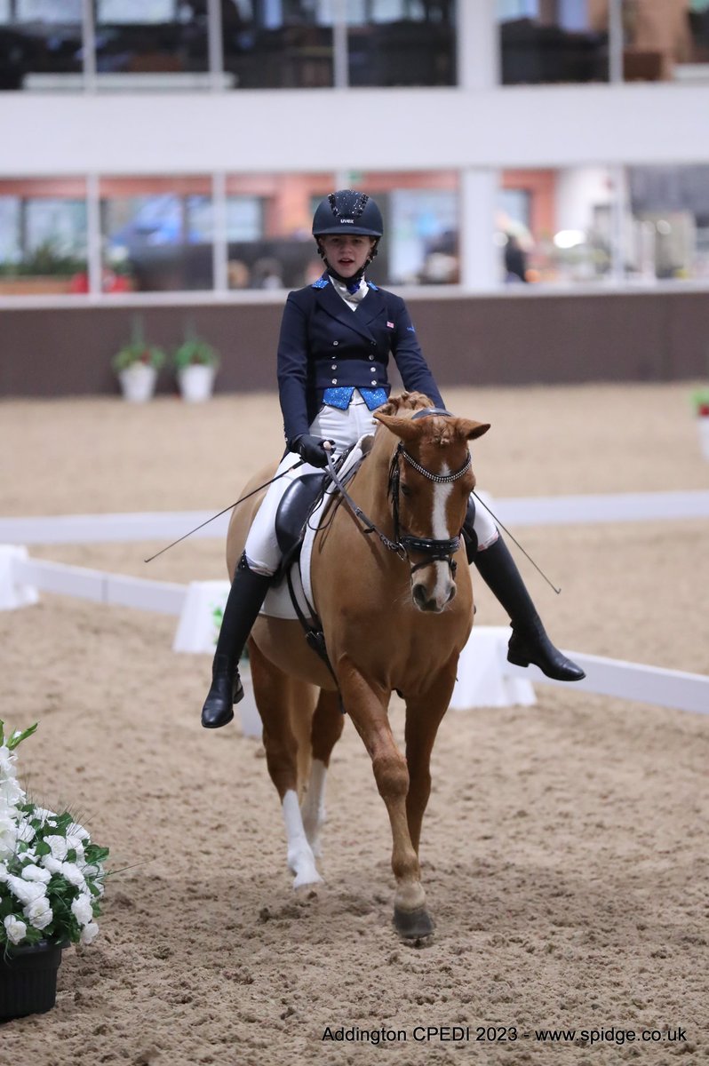 Elan Williams ParaDressage tweet media