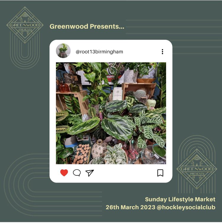 greenwdpresents's tweet photo. Our last two vendors for tomorrows market @HockleySocialCl is @solvandkopper ✨ 💍handmade jewellery made in the #jq and #root13✨🪴 house plants, terrariums and accessories for your indoor space. #greenwoodpresents #market 12-5pm ☺️ https://t.co/Yjp3E4LX6f