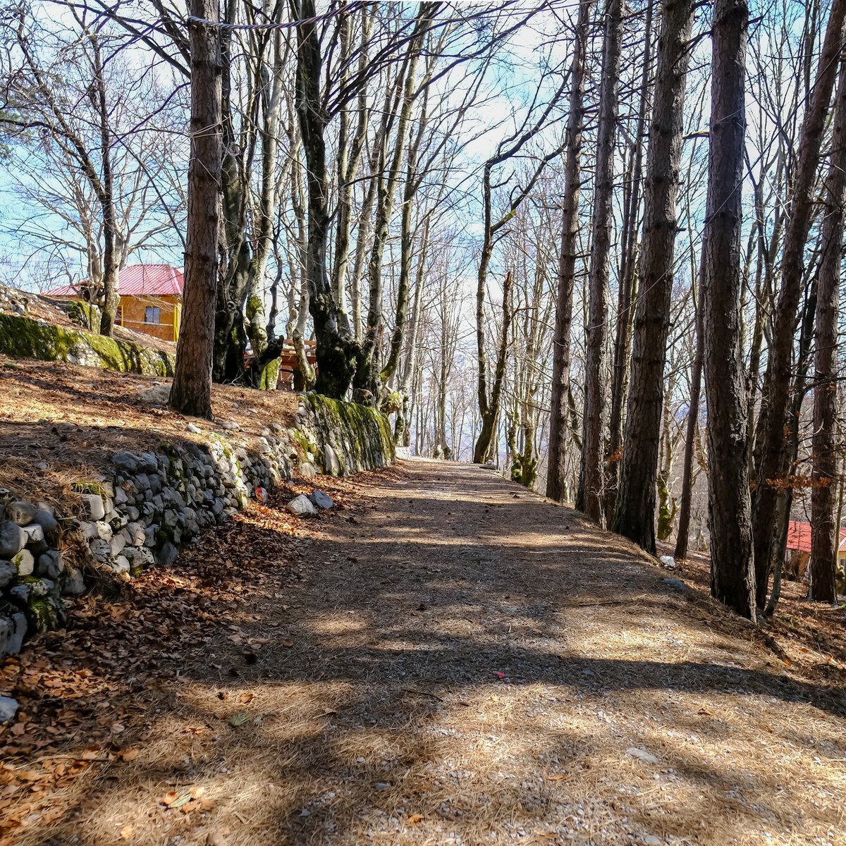 RazmaResort's tweet photo. Pranvera vjen më vonë në Razëm dhe peisazhet që krijon natyra janë thjeshtë të mrekullueshme në çdo periudhë! 😍
Tashmë jemi në fazën ku natyra është duke u përgatitur për të hyrë në ciklin fillestar të pranverës 😍
Je i mirëpritur në çdo stinë në Razëm 🤗 https://t.co/EsgwcpphqX