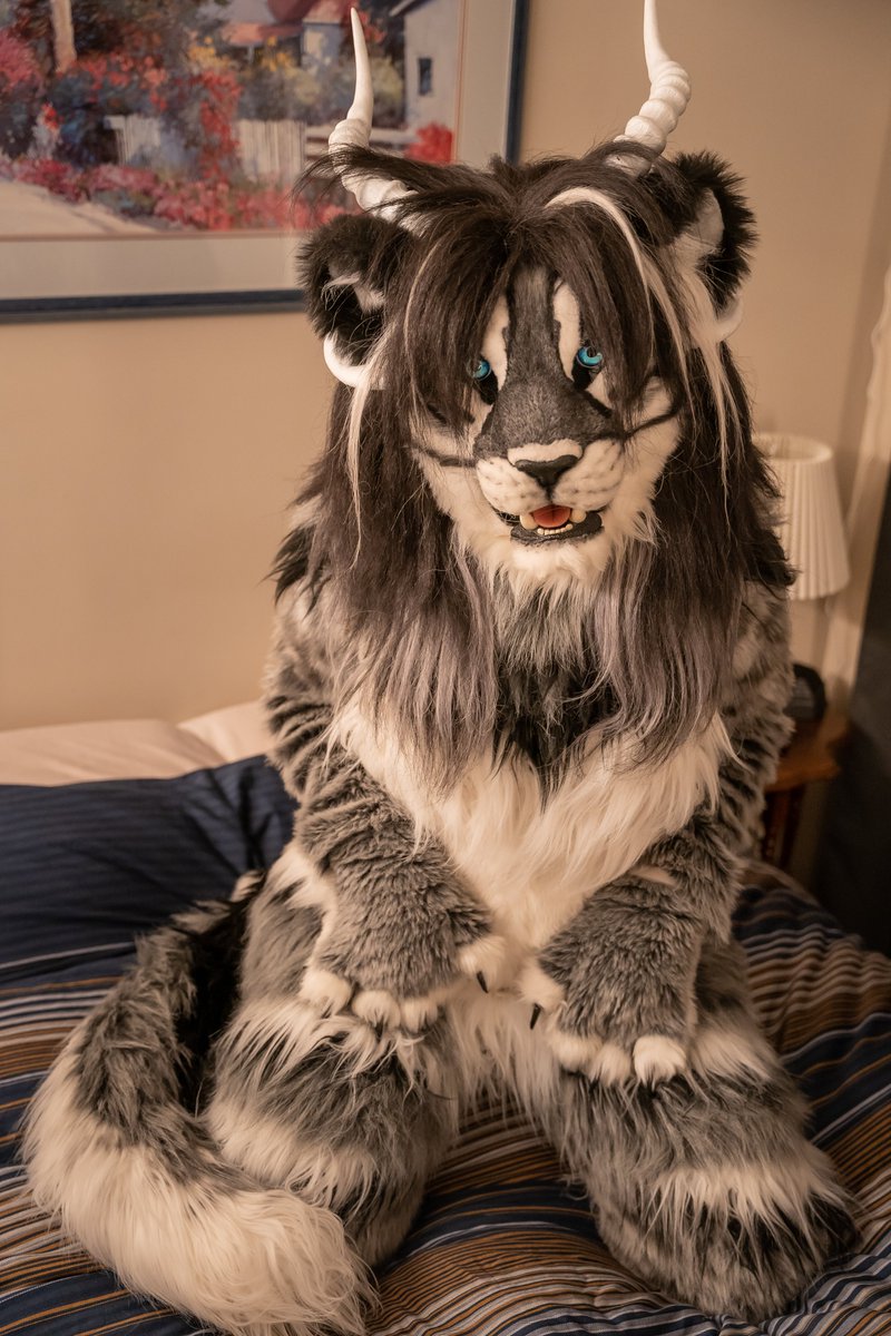 Gimme pets, owner. UwU
(gives you the Puss in Boots big eye stare).

📸<a href="/RedRuppell/">Alek the Doc Fox</a>