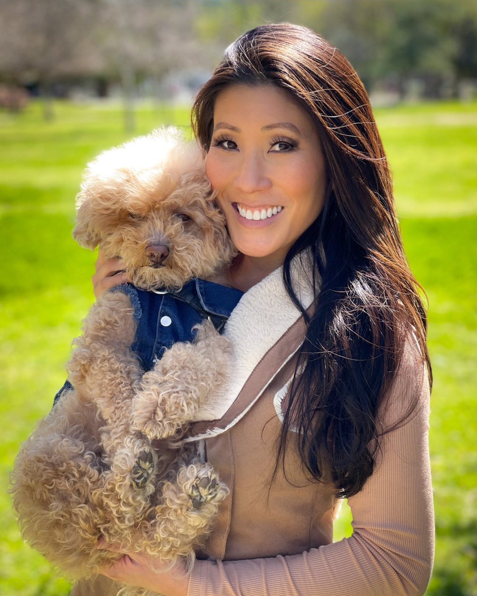 My poodle pup was made for sunny days &amp; denim vests ☀️🐶💙 #dogsoftwitter #sunshine #weekendmood #California