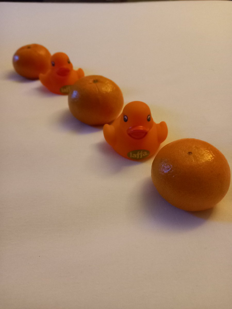 Great day of gymnastics at the #2023British with <a href="/BritGymnastics/">British Gymnastics</a> and partner <a href="/JaffaFruit/">Jaffa Fruit</a> ❤️