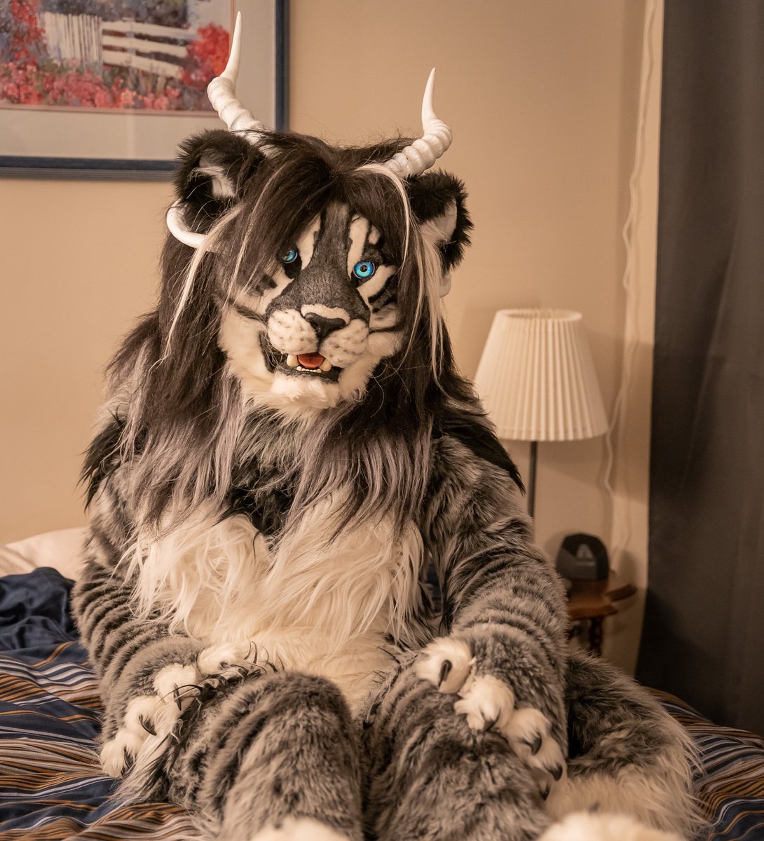 I've been waiting...PURRRRR

📸<a href="/RedRuppell/">Alek the Doc Fox</a>