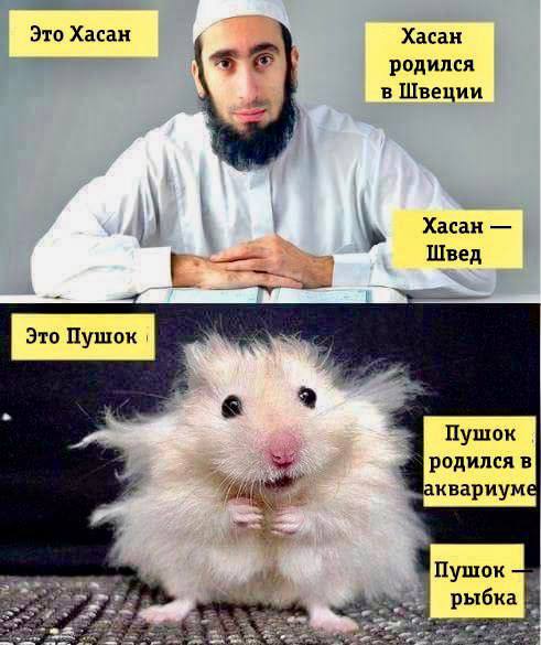 lifashin's tweet photo. https://t.co/NQiiWtY6ej