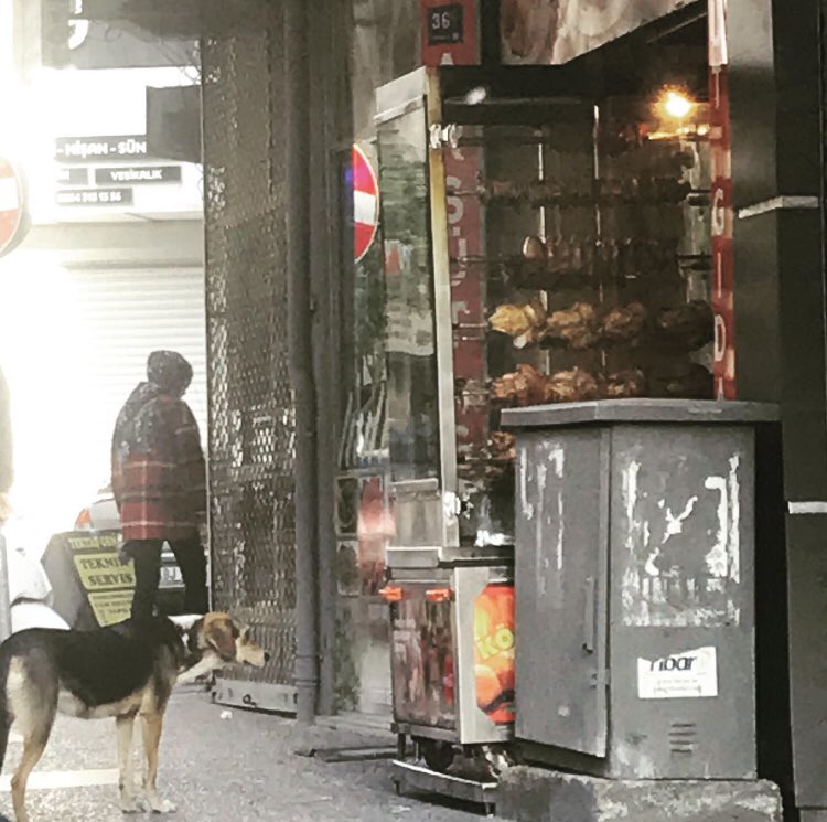 hayhaksaygi's tweet photo. Allah hiçbir canlıyı aç bırakmaz deyip içinizi rahatlatmak istiyorsunuz ama farkında değilsiniz bu iyiliğe insanları aracı kıldı. Bir köpek sokağa alışır, dükkan önüne alışır diye korkulu rüyanız olmasın. İnanıyorsanız eğer Yaradan’ın rızası için muhtaç her canı besleyin❤️ https://t.co/0bG9Ki16pK