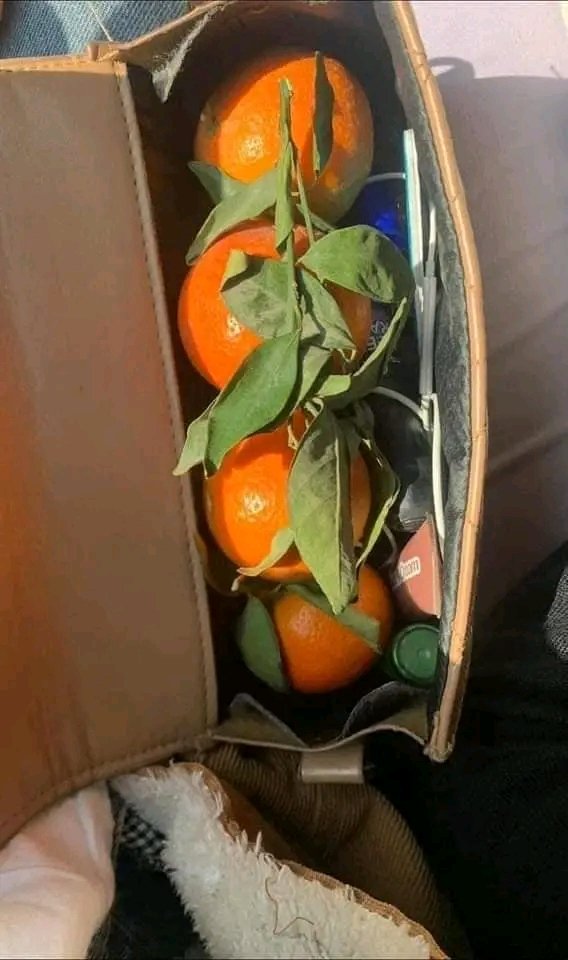 Just dey fear this gender 😂