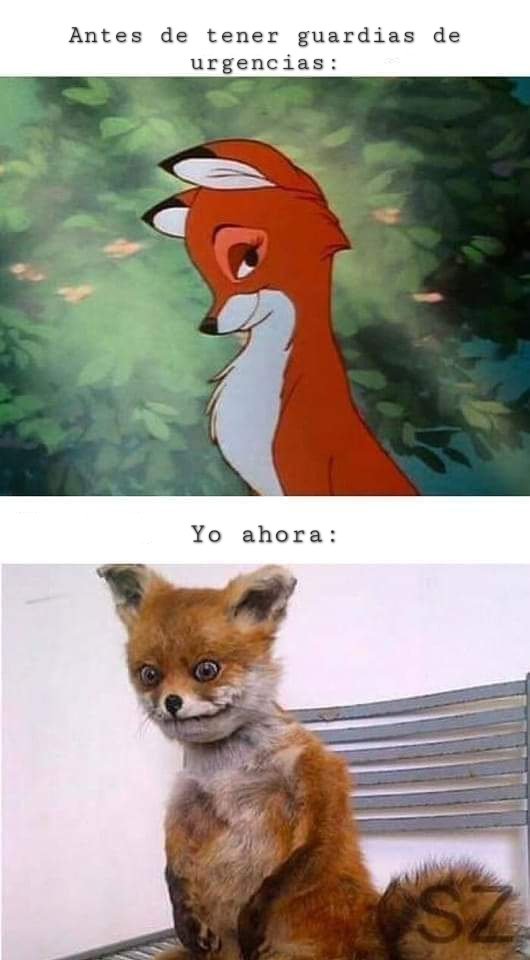 Parece chiste pero es anécdota