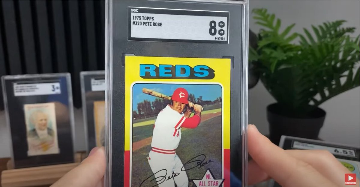 🚨 11k FOLLOWER GIVEAWAY 🚨

I'm giving away a Free SGC card submission 

All you have to do is RT + Follow!

If this gets over 250RTs, I'll throw in a 2nd cards to be graded for free!