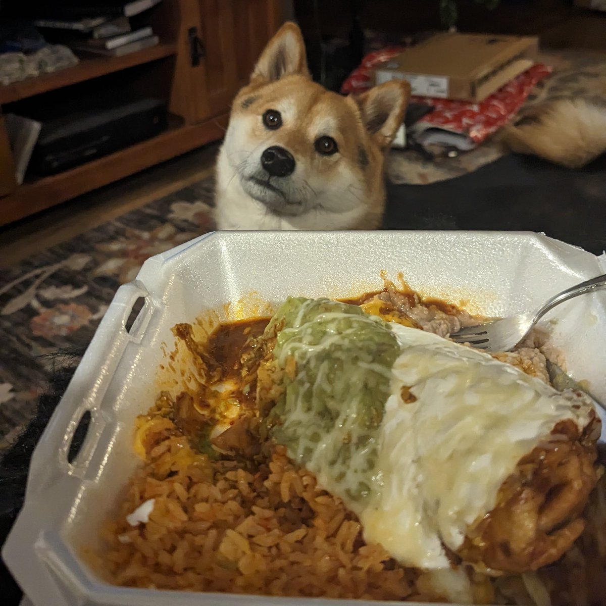 Mom should share her Chimichanga... but she says it'll make me sick 😑